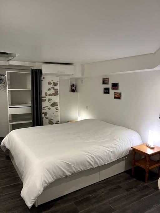 Appartement Climatise Albi - Centre Экстерьер фото