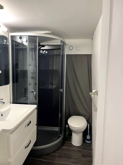Appartement Climatise Albi - Centre Экстерьер фото